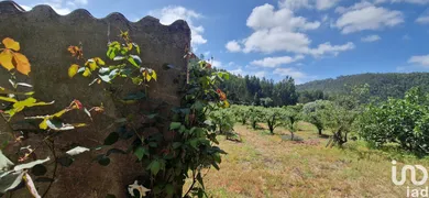 Land  in Azueira e Sobral da Abelheira