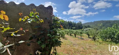 Fotografia 3 de Terreno de 7812 m² em Azueira e Sobral da Abelheira