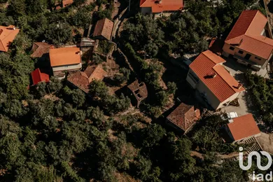 Village house at Oliveira do Douro