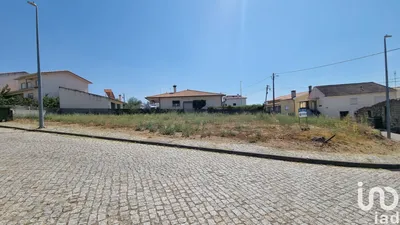Fotografia 6 de Terreno rústico de 35 818 m² em Salgueirais - Celorico da Beira