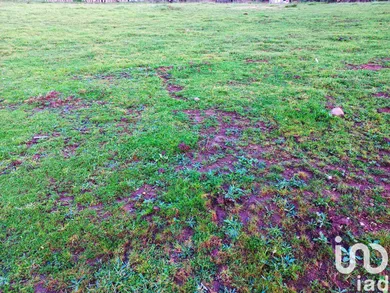 Terreno urbano  em Cervães
