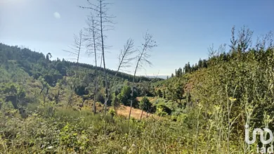 Terrain  à Pedrógão Pequeno