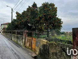 House in Albergaria-a-Velha e Valmaior
