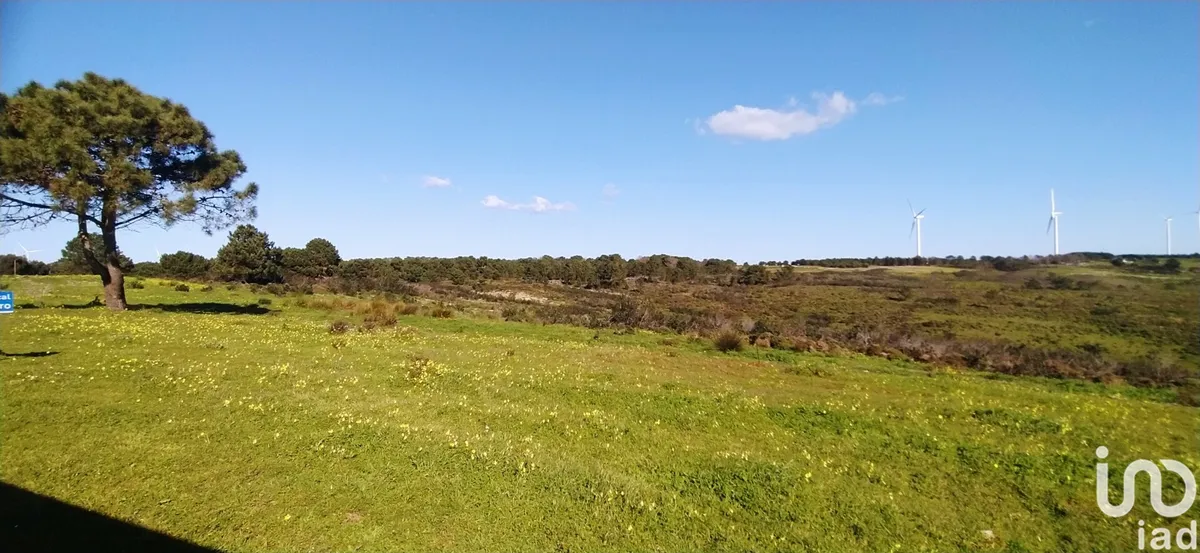 Terreno de 235 534 m² em Vila do Bispo e Raposeira