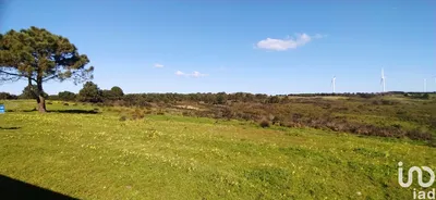 Fotografia 4 de Terreno de 19 000 m² em Vila do Bispo e Raposeira