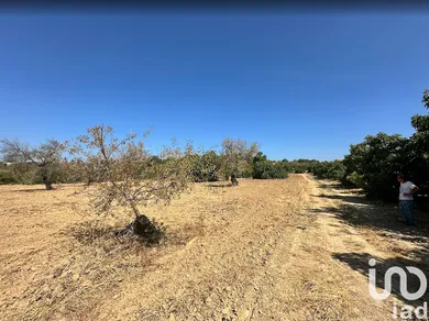 Terrain  à Luz de Tavira e Santo Estêvão