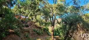 Terreno  em Marmelete