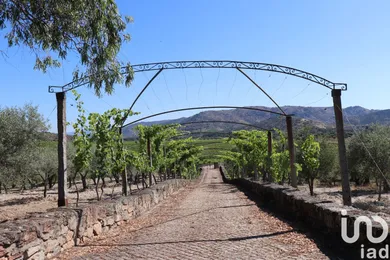 Farm in Cabeça Boa