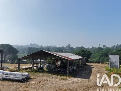 Armazém em Mangualde, Mesquitela e Cunha Alta