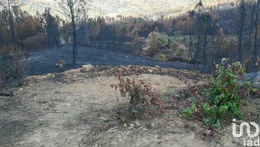 Terreno em Montes da Senhora