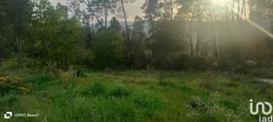 Building plot  at Santo isidoro e livração