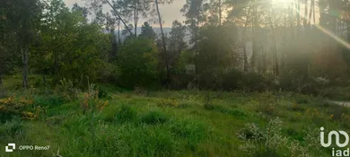 Terreno urbano em Santo isidoro e livração