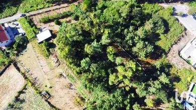 Building plot in Forjães