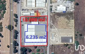 Loja / Estabelecimento Comercial  em Muge