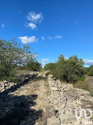 Farm land  in São Brás de Alportel