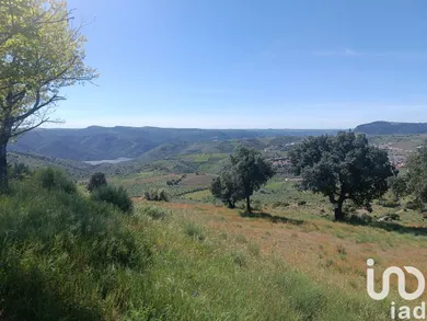 Land at Freixo de Espada à Cinta e Mazouco