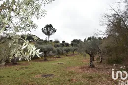Terrain  à Chãos