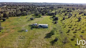 Farm land  in Algoz e Tunes