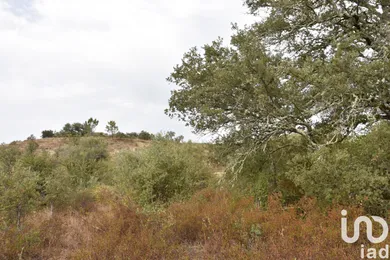 Terreno  em Areias e Pias