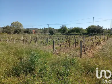 Terrain  à Capinha