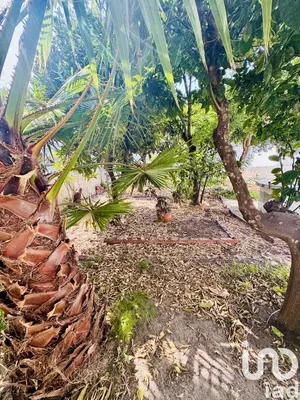 House  at Pinhal Novo