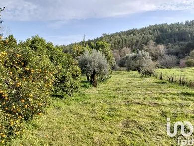 Terreno urbano em Alcobertas