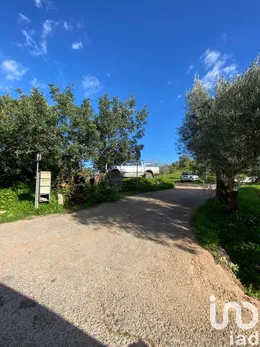 Farm land  in São Brás de Alportel