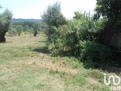 Terreno em Areias e Pias