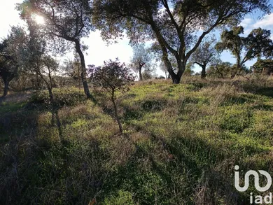 Farm land  at Galveias
