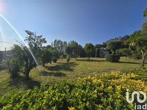 Land at Mire de Tibães