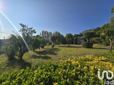 Land  at Mire de Tibães