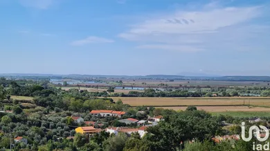 Land at Chamusca e Pinheiro Grande