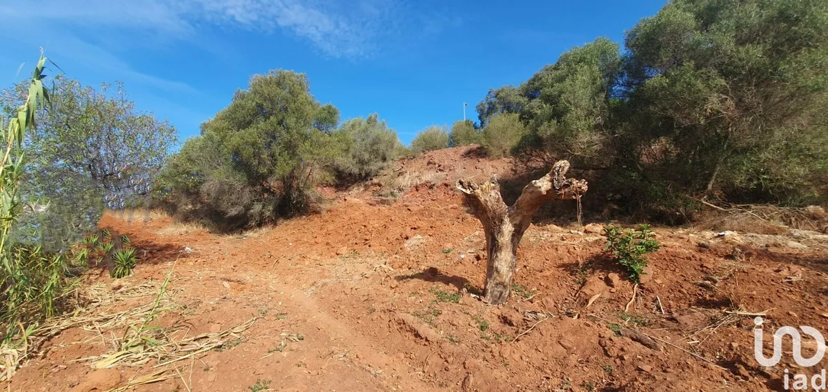 Terreno de 582 m² em São Bartolomeu de Messines