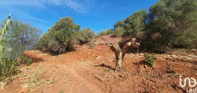 Terreno  em São Bartolomeu de Messines