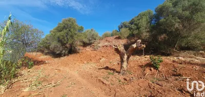 Fotografia 1 de Terreno de 582 m² em São Bartolomeu de Messines