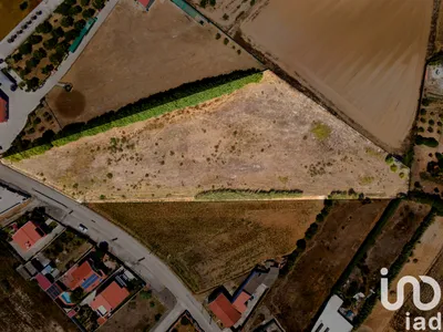 Fotografia 1 de Terreno de 8000 m² em Atouguia da Baleia