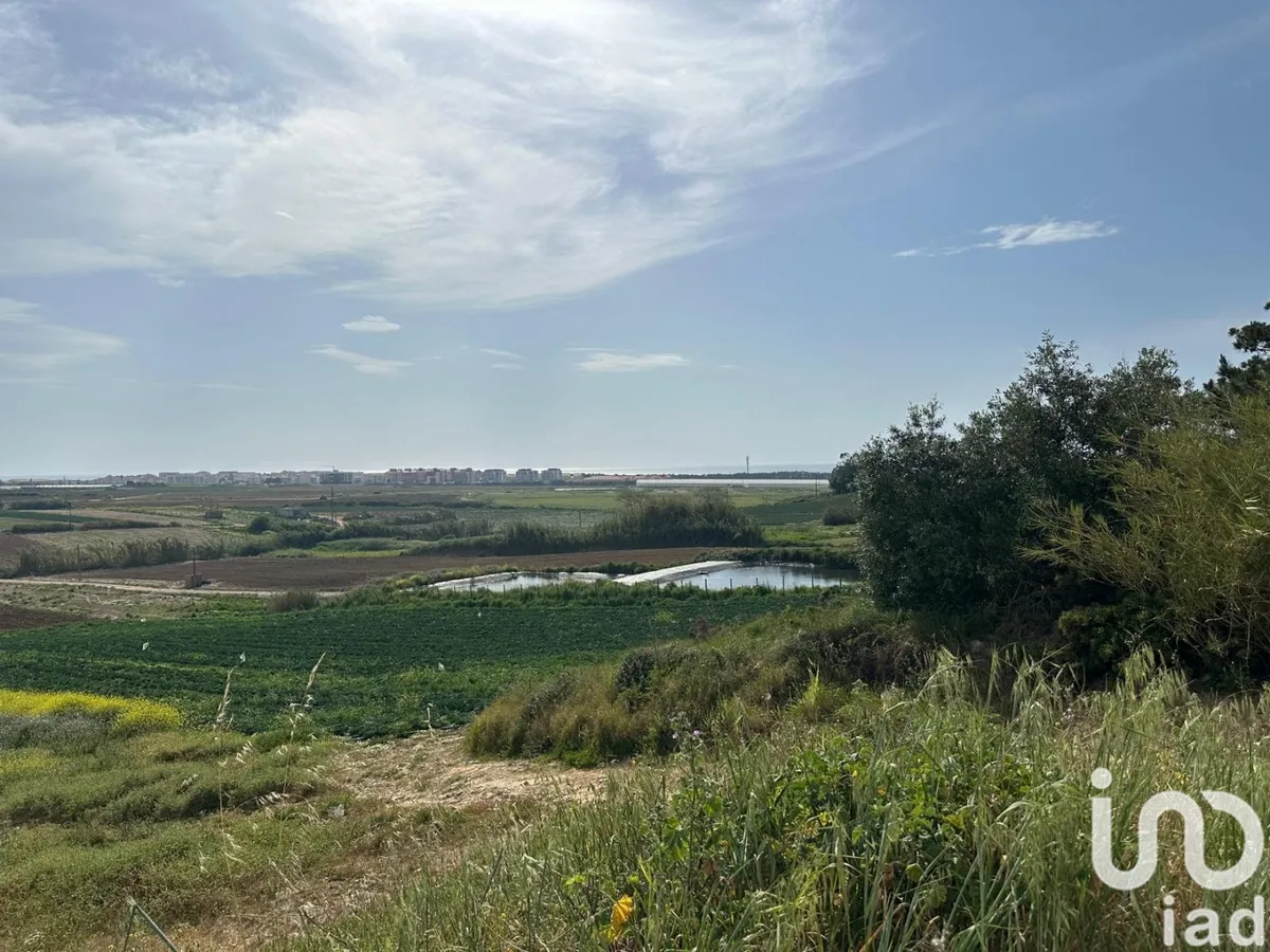Terreno de 5840 m² em Atouguia da Baleia