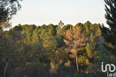 Land  in Areias e Pias