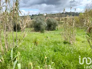 Terreno  em Outeiro da Cortiçada e Arruda dos Pisões