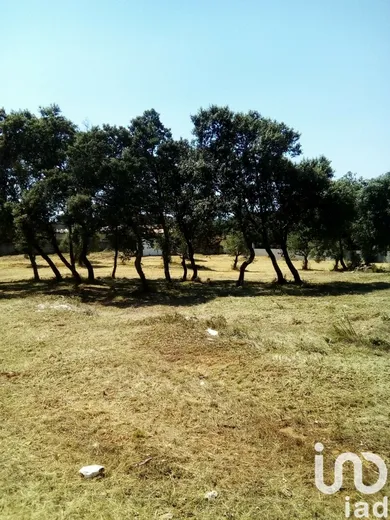 Land  in Malhou, Louriceira e Espinheiro