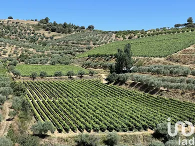 Terreno  em Cedovim