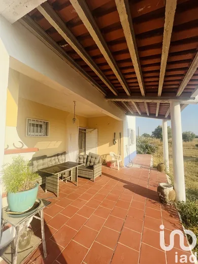 Domain  at Ferreira do Alentejo e Canhestros