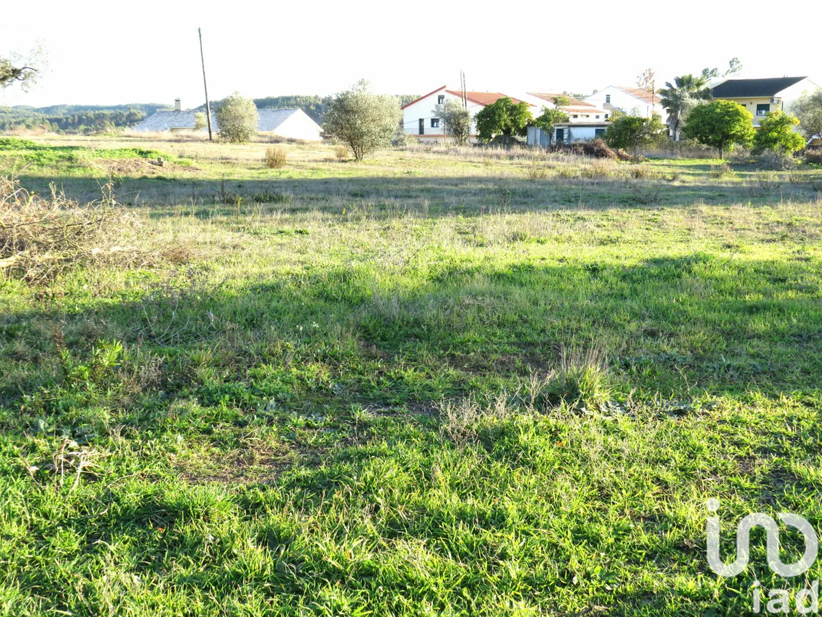 Terreno de 6920 m² em Asseiceira