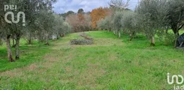 Terreno em Lousã e Vilarinho