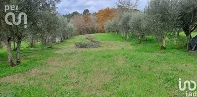 Terreno  em Lousã e Vilarinho