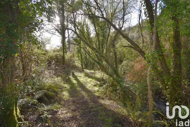 Terreno rústico  em São Miguel, Santa Eufémia e Rabaçal