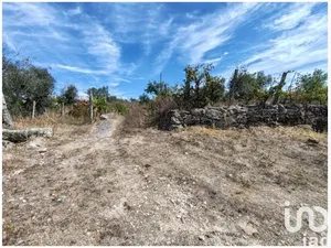 Farm land  at Seixo da Beira
