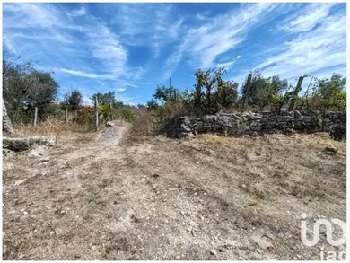 Farm land at Seixo da Beira