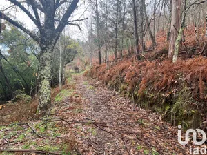 Terreno em São Félix
