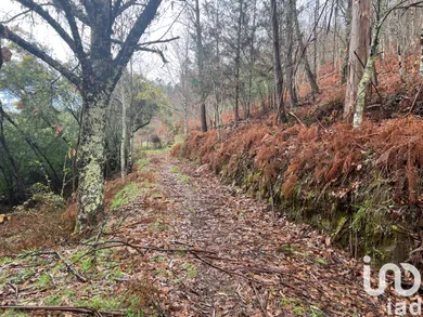 Terreno  em São Félix